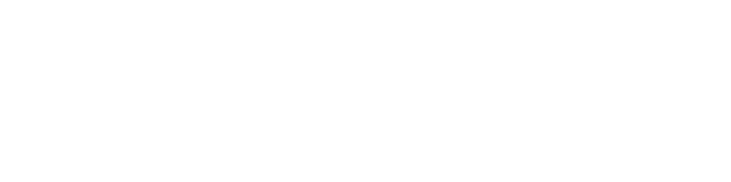logo light